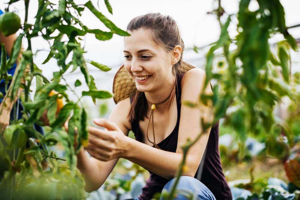 A woman in a crouch smiles while picking oranges.