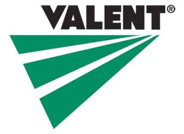 Valent