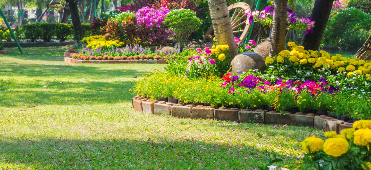 Flowers in the garden.