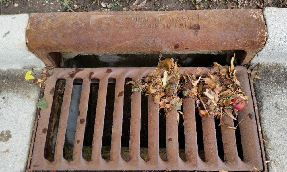 storm grate on street