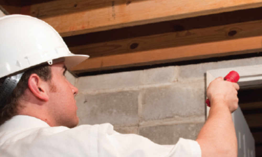 man looking in basement for pests