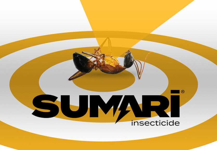 Sumari Insecticide logo on gold target with upside down ant