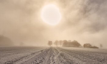 Wintering Pests Blog: Field covered on snow, barn and trees in distance, sun cuts through an overcast day