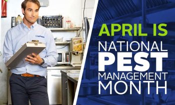 April is National Pest Management Month. image of pest professional holding clipboard in commercial kitchen facility