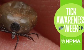 Tick Awareness Week May 8-14