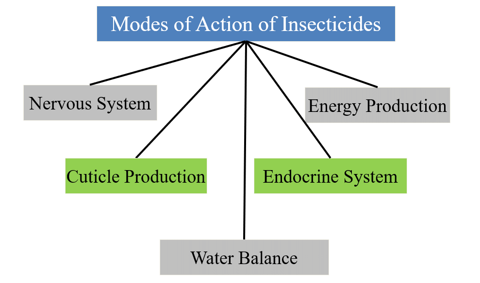 Flow chart of the modes of action of insecticides