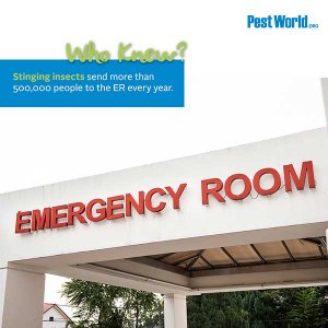 Summer Pests: Who Knew? Stinging insects send more than 500,000 people to the ER every year. Image if Emergency Room.