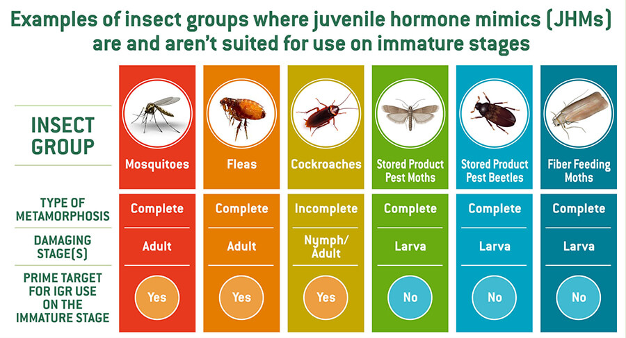 Juvenile Hormone Mimics: Use on mosquitoes, fleas & cockroaches; do not use on stored product pests beetles and moths