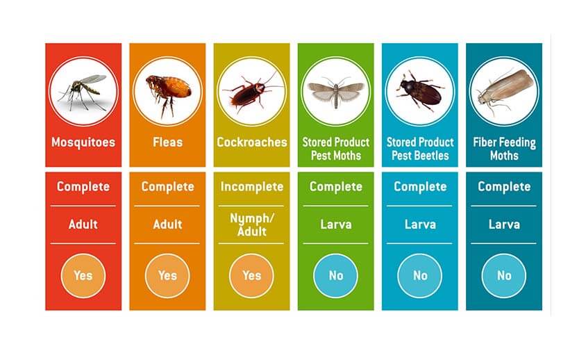 Juvenile Hormone Mimics: Use on mosquitoes, fleas & cockroaches; do not use on stored product pests beetles and moths