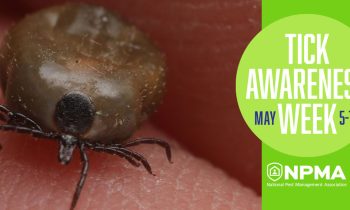 Tick Awareness Week is May 5-11