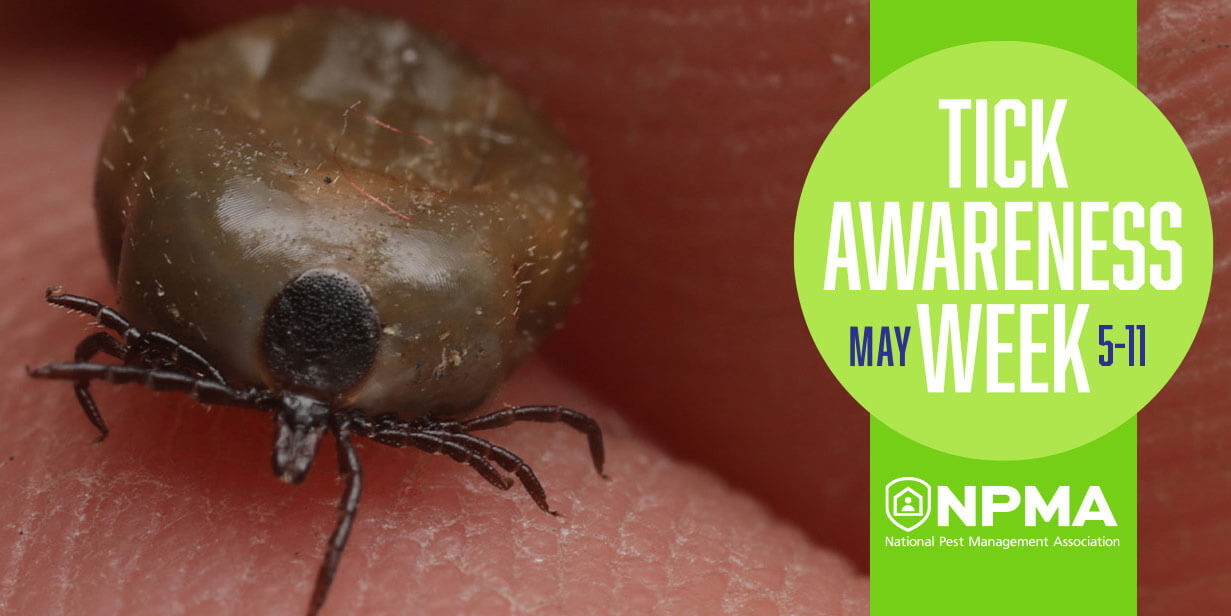 Tick Awareness Week is May 5-11