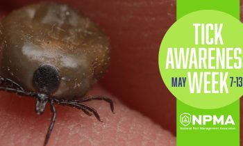 Tick Awareness Week (May 7-13) Logo pictured with brown Lone Star Tick