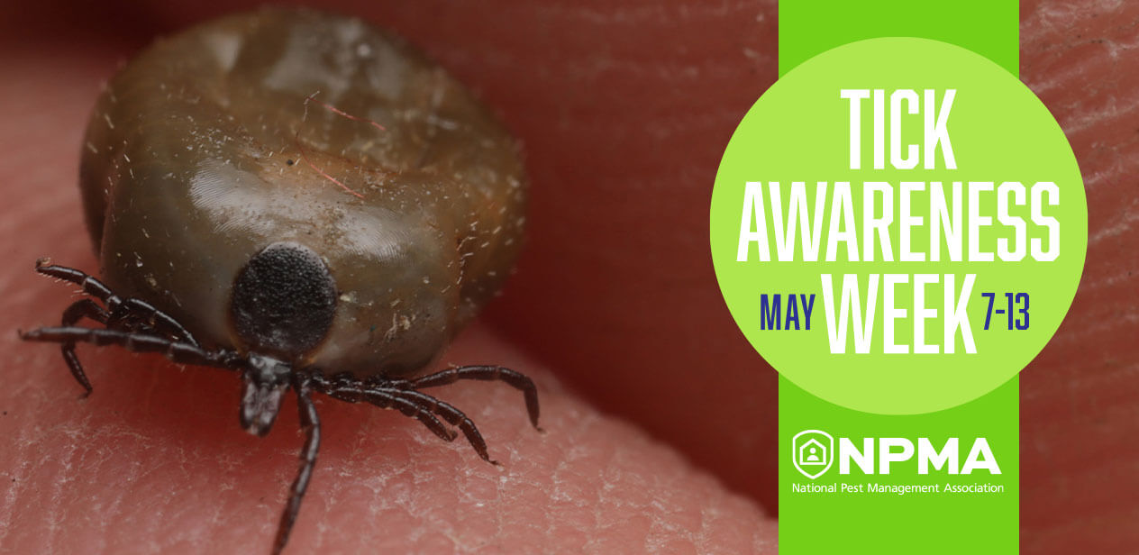 Tick Awareness Week (May 7-13) Logo pictured with brown Lone Star Tick