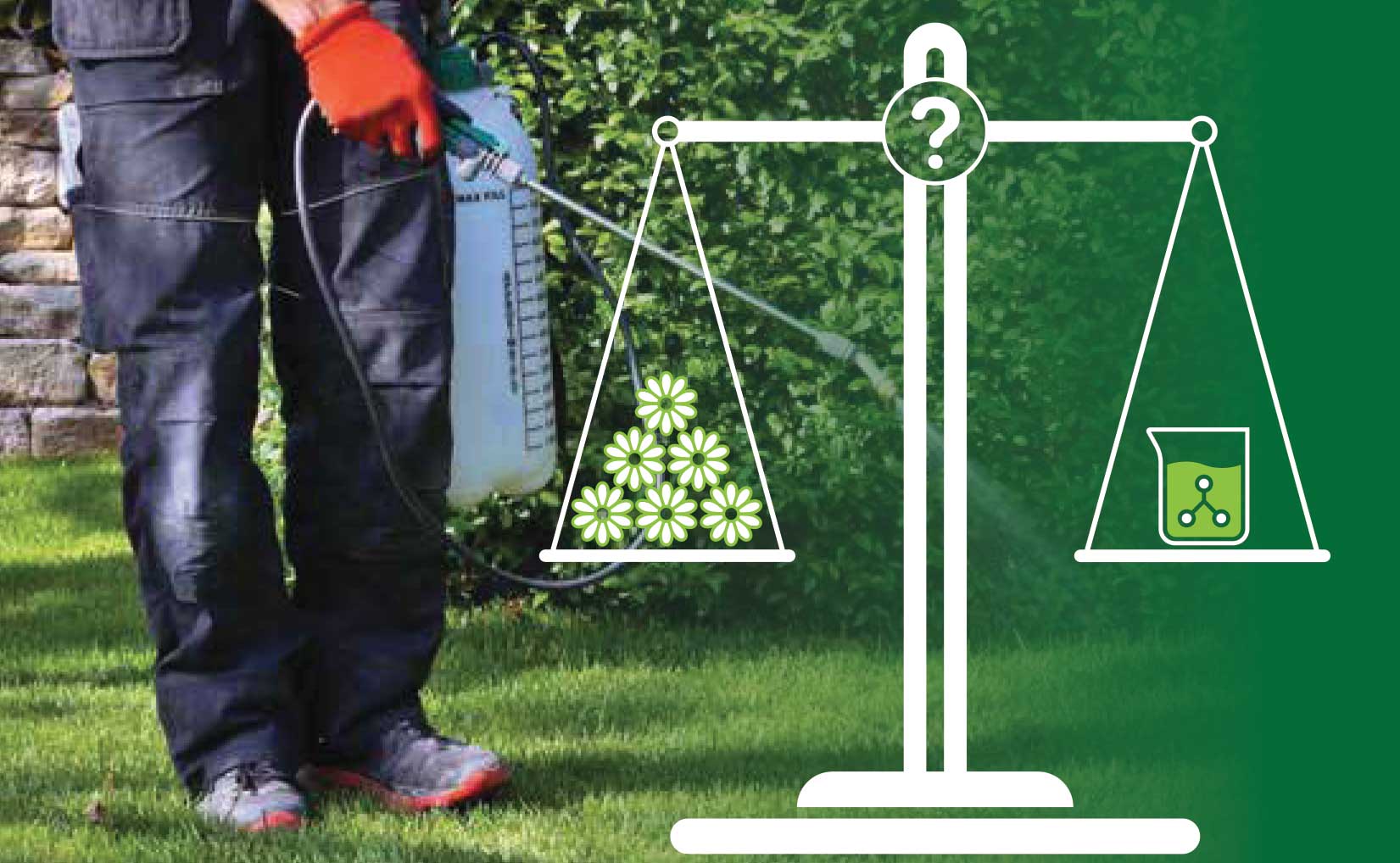 PMP spraying yard, scale displayed on right side of image shows flower and a chemical formulation in a beaker weighing evenly.