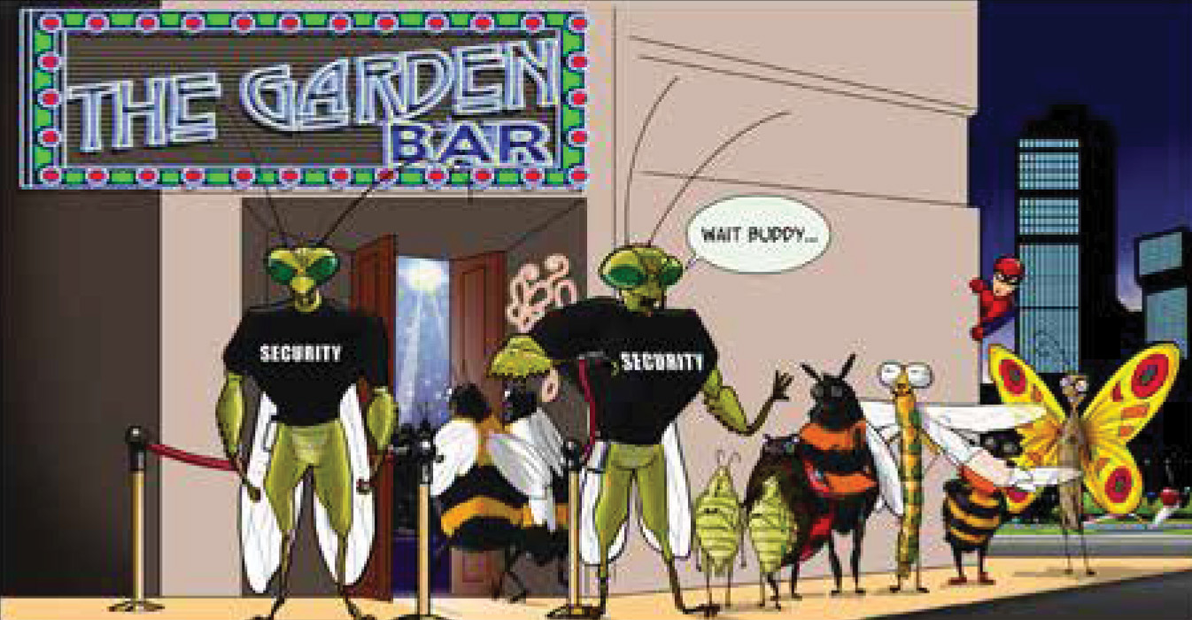 The Garden Bar Image