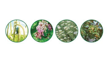 Plant-based active ingredients